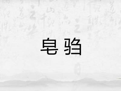 皂驺
