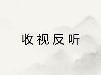 收视反听