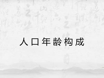 人口年龄构成
