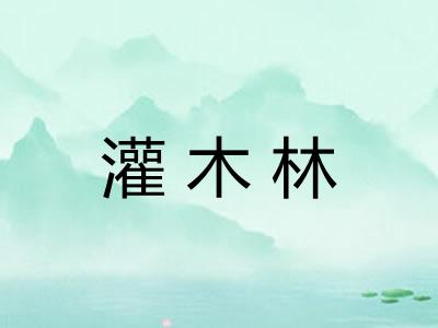 灌木林