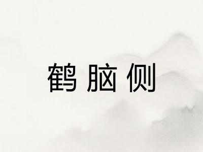 鹤脑侧