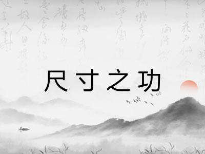 尺寸之功