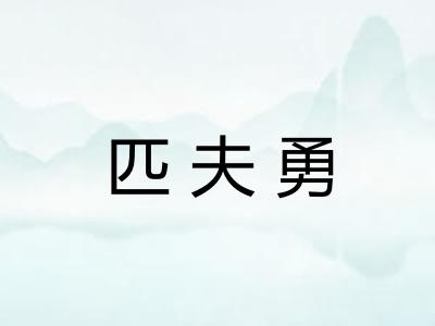 匹夫勇