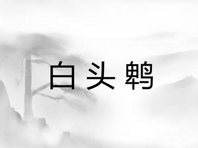 白头鹎