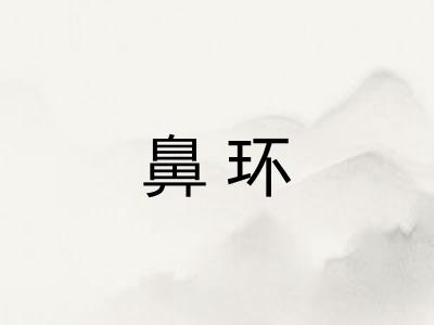 鼻环
