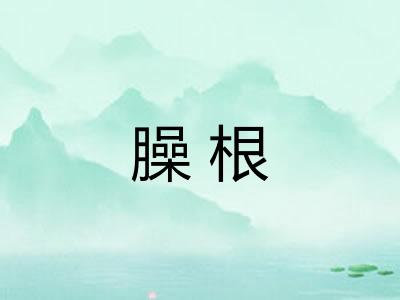 臊根