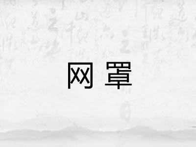 网罩