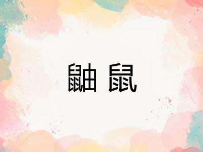 鼬鼠