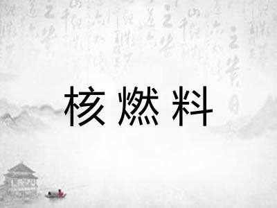 核燃料