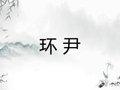 环尹