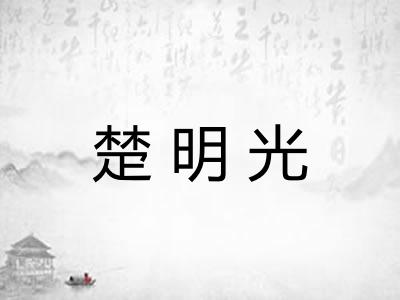 楚明光