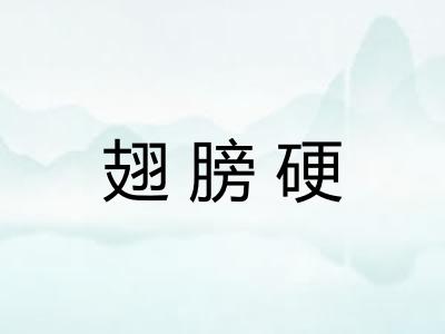 翅膀硬