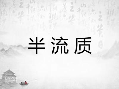 半流质
