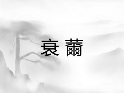 衰薾