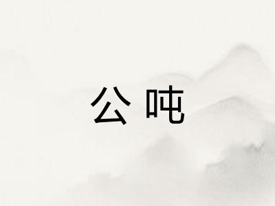 公吨
