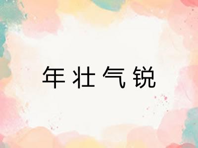年壮气锐