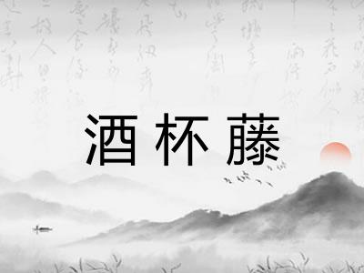酒杯藤