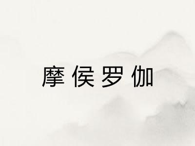 摩侯罗伽