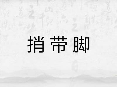 捎带脚