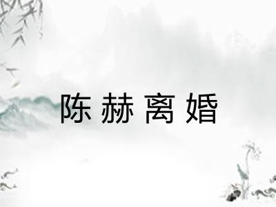 陈赫离婚