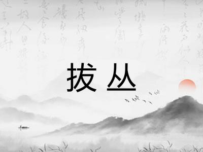 拔丛