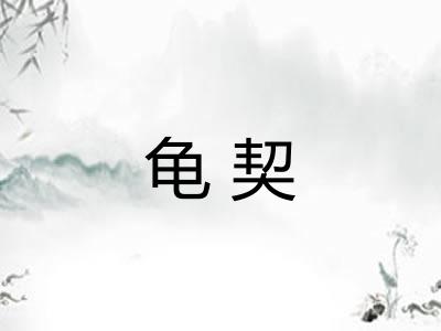 龟契