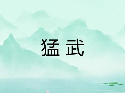 猛武