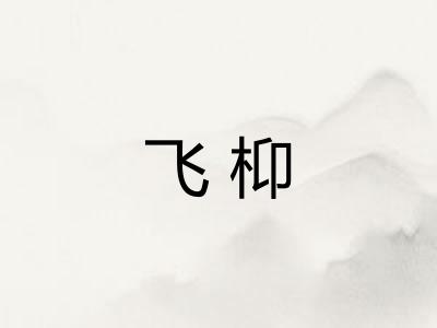 飞枊