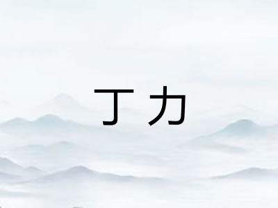 丁力