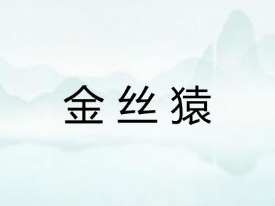 金丝猿