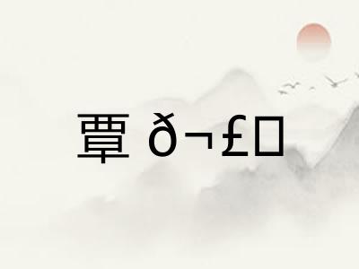 覃𬣙