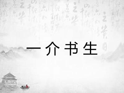 一介书生