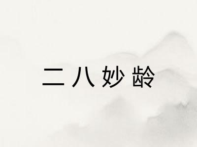 二八妙龄