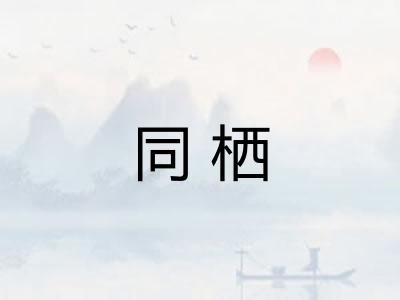 同栖
