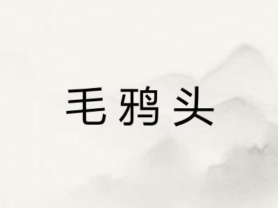 毛鸦头