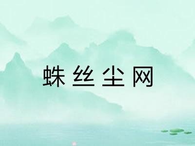 蛛丝尘网