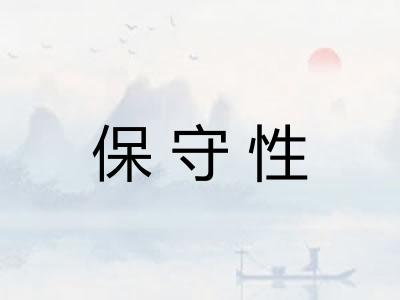 保守性