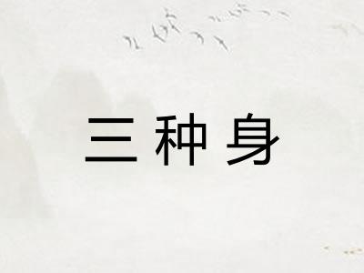 三种身