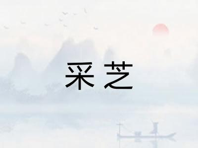 采芝