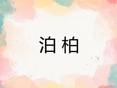 泊柏