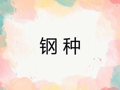 钢种