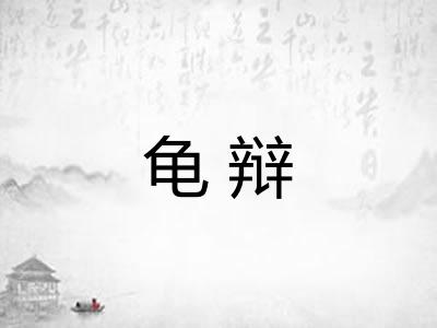 龟辩