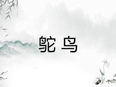 鸵鸟