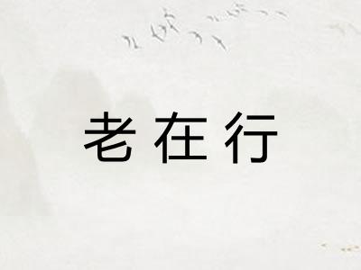 老在行