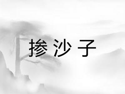 掺沙子