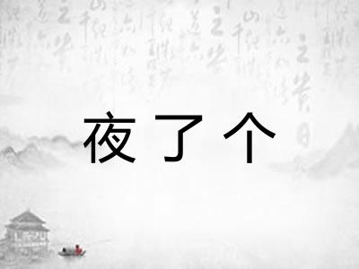 夜了个