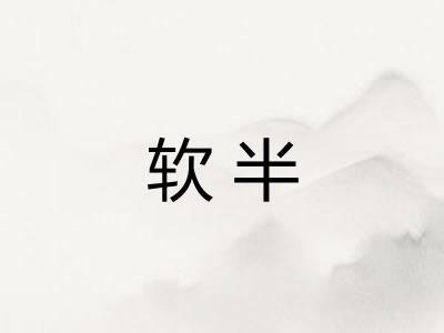 软半