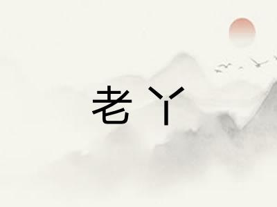 老丫