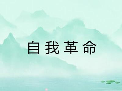 自我革命