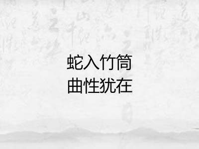 蛇入竹筒曲性犹在